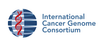 ▲국제 암 유전체 협력단(international cancer genome consortium)
