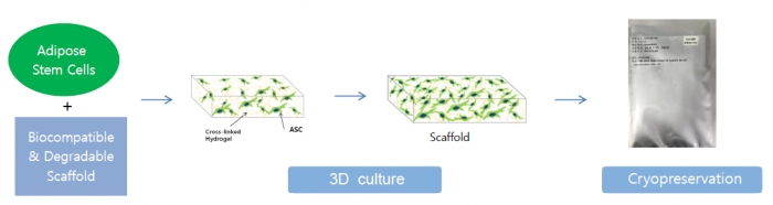 Anterogen, Entering Rare Disease Market with Korean Domestic Stem Cell Therapeutics