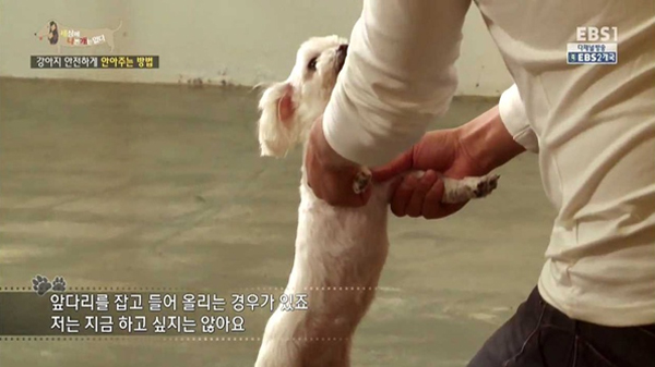 (출처 : EBS <세상에나쁜개는없다>)