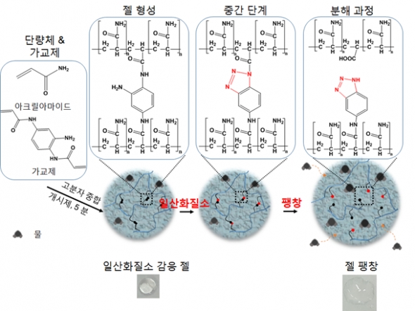 ▲일산화질소에 선택적 반응하는 하이드로젤의 화학구조 및 개략도