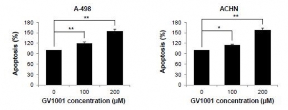 ▲A-498세포와 ACHN세포에서 GV1001의 세포사멸 영향을 확인한 결과, 적용 농도와 비례해 세포사멸이 유의미하게 증가된 것을 확인했다.(제공: 젬백스)