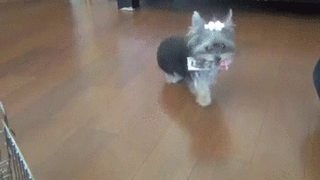 (출처 : giphy.com)