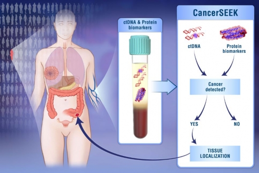 ▲존스홉킨스 연구진이 개발한 8종 암 다중혈액검사법 