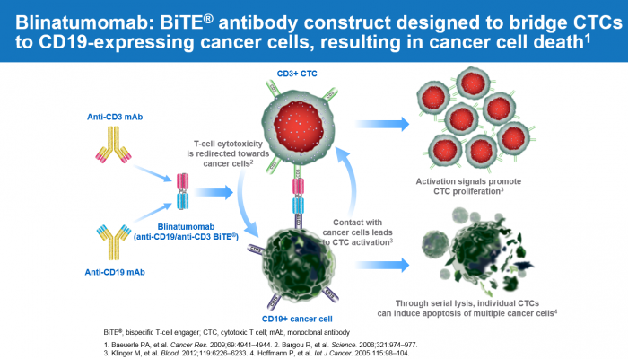 ▲Figure-1. Blinatumomab: BiTE® antibody construct designed to bridge CTCs to CD19-expressing cancer cells, resulting in cancer cell death