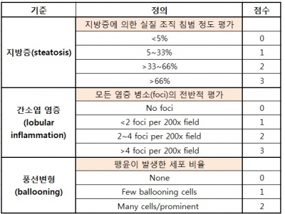 ▲비알콜성 지방간질환의 등급을 구분하기 위한 NAFLD activity score(NAS) 지표. NAS가 5점 이상으로 판단되면 NASH의 진단과 대부분 일치한다.