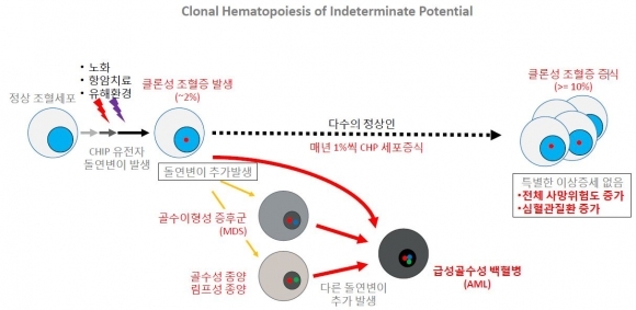 ▲클론성 조혈증(Clonal Hematopoiesis of Indeterminate Potential, CHIP) 개념 설명 (그림: 지놈오피니언 제공)