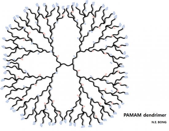 ▲MIT 연구진이 개발한 PAMAM 덴드리머의 화학구조 그림