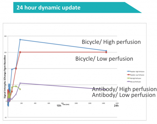 ▲Bicycle, Antibody 비교(OPT Boston 2017 Bicycle therapeutics 발표자료)