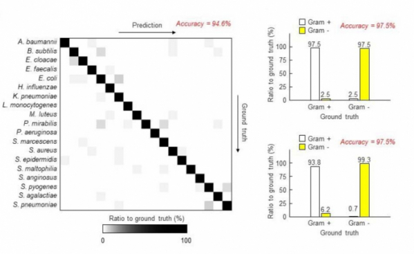 ▲박테리아 분석 모델을 이용한 결과.(https://www.biorxiv.org/content/10.1101/596486v1.full)