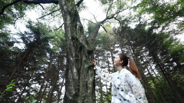▲'나무야나무야' 김규리(사진제공=KBS1)