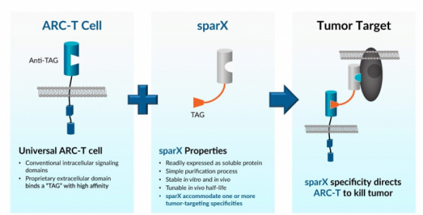 ▲ARC-T+sparX platform(아셀엑스 홈페이지)