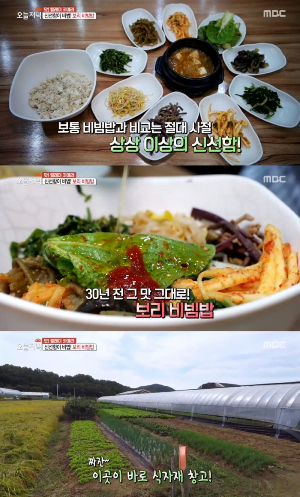 ▲양평 보리 비빔밥 맛집(MBC '오늘저녁' 방송화면)