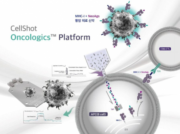 ▲셀샷 기술을 적용해 신항원 B세포 치료백신을 만드는 컨셉, 회사IR 자료.