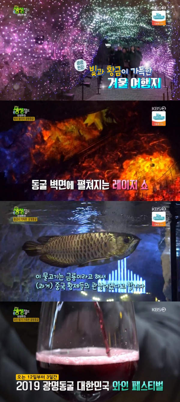 ▲생생정보 광명동굴(사진=KBS2 '생생정보' 방송화면 캡처)