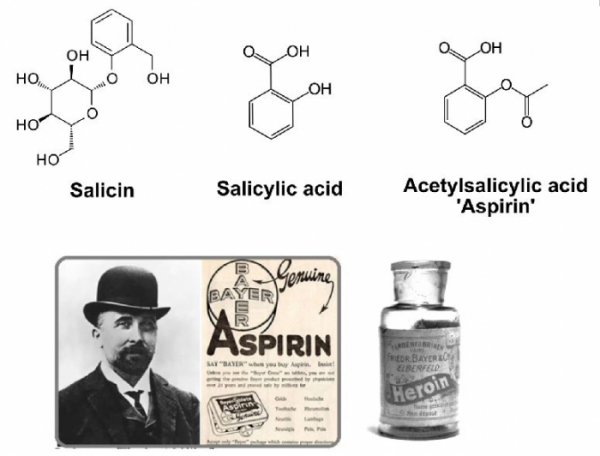 ▲그림 2. 아스피린의 탄생. 기원전부터 버드나무(Willow, 학명 Salix) 추출물은 통증 완화와 해열 효과가 있다는 것이 알려져 있었으나 그 유효 성분이 살리신 (Salicin)이라는 물질이라는 것은 19세기 중반이 되어서야 알려지게 되었다. 살리신을 분해하여 나온 살리실산 (Salicyclic acid)는 통증 완화와 해열 효과를 주었으나 매우 쓴 맛과 위경련을 유발하는 관계로 약으로 널리 사용하기 어려웠다. 19세기 말 독일의 바이엘사의 화학자 펠릭스 호프만 (Felix Hoffmann, 1868- 1946)은 살리실산의 부작용을 줄이기 위하여 살리실산에 무수초산 (Acetic anhydride)를 반응시켜 아세틸살리실산 (Acetylsalicylic acid)를 합성하는 데 성공하였고, 이는 후에 ‘아스피린’ (Aspirin)으로 알려지는 약물이 되었다. 한편 펠릭스 호프만은 모르핀 (Morphine)을 아세틸화하여 헤로인 (Heroin)이라는 물질을 합성하였고 바이엘은 헤로인을 감기약으로 일반의약품으로 판매하였으나, 헤로인은 강력한 중독성을 지니는 환각제였고, 헤로인의 판매는 1930년대에 금지되었다. 