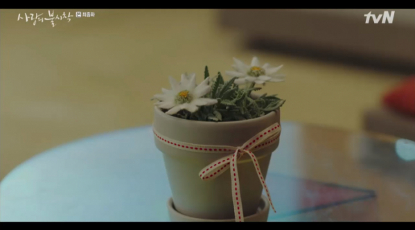 ▲에델바이스가 피는 나라(사진=tvN '사랑의 불시착' 방송화면 캡처)