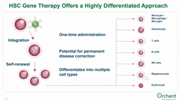 ▲오차드의 자가모혈세포 이용한 치료제 개발 접근법(오차드 발표 자료)