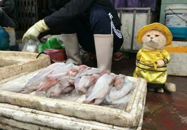 (출처 : 심플스토리)