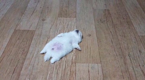 (출처 : 커뮤니티)