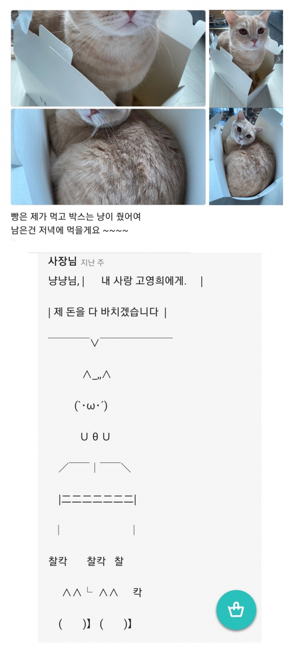 (사진출처=인터넷 커뮤니티)