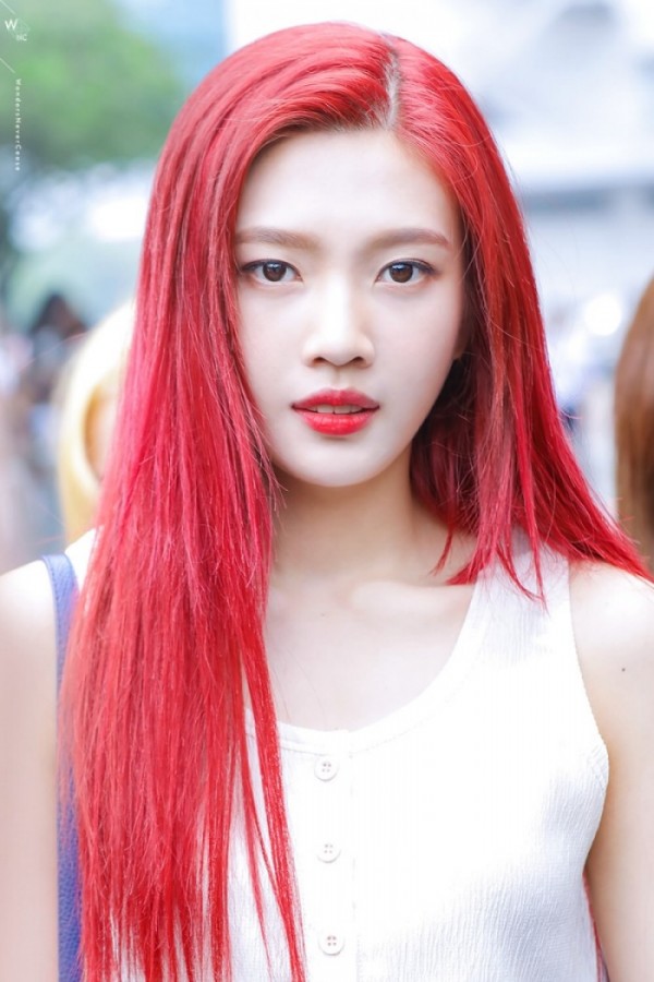 (사진출처=조이 팬페이지 WONDERS NEVER CEASE)