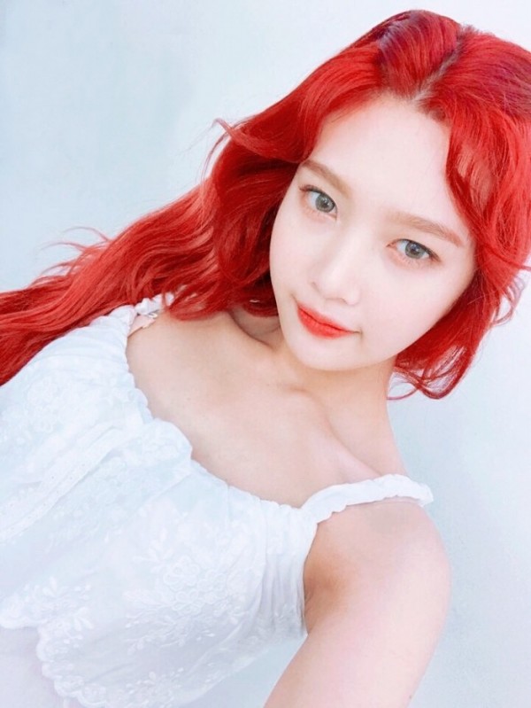(사진출처=트위터)