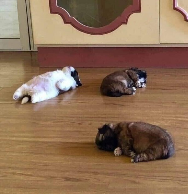 (사진출처=인터넷 커뮤니티)