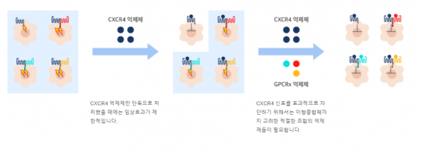 ▲* GPCR 테라퓨틱스의 CXCR4 이형중합체 타깃 접근법(GPCR 테라퓨틱스 웹사이트)