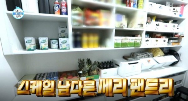 (출처=MBC나혼자산다 캡쳐)