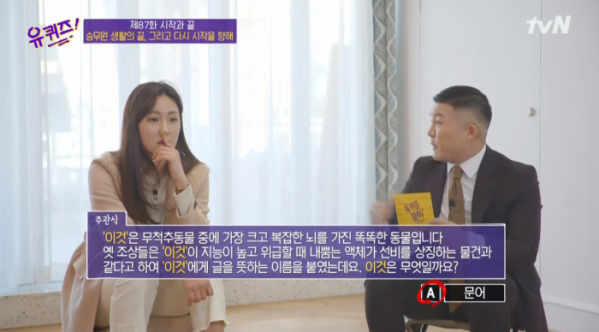 ▲이스타항공 전 승무원, '문어' 퀴즈 정답(사진=tvN 방송화면 캡처)