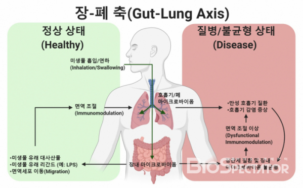 [BioS 레터]Intestinal-closing,’Corona 19′ and microbiome-Biospectator