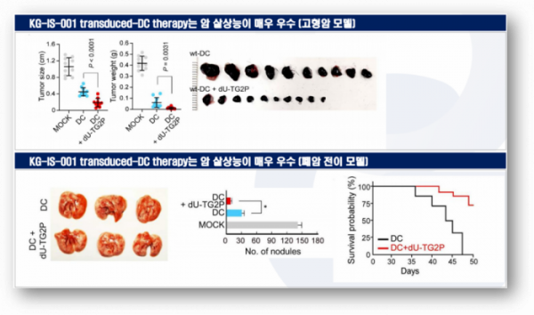 ▲Anti-tumor effects of KG-IS-001 in DCs