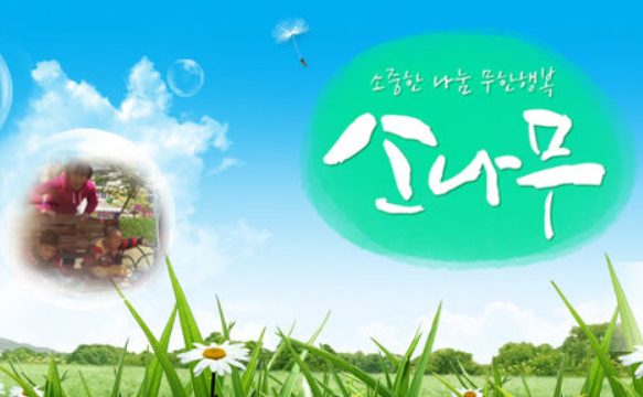 ▲MBN '소나무'(사진제공=MBN)