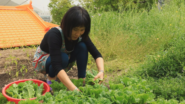 ▲'한국기행' 군산 신시도(사진제공=EBS1)