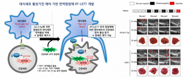 (네오나 발표자료 참조)