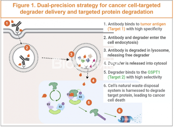 ▲오름 AACR 2022 포스터 발표자료