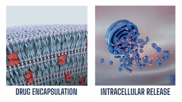 ▲마티나스 바이오파마(Matinas Biopharma)의  지질 나노크리스탈(lipid nanocrystal, LNC) 약물전달 플랫폼 구조(홈페이지 캡쳐)