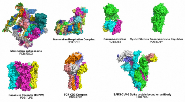 ▲그림 3. Cryo-EM에의해 규명된 단백질 복합체/막단백질의 일부. 기존의 단백질 결정학으로는 불가능했던 수많은 거대 복합체와 막단백질의 구조가 Cryo-EM을 통하여 속속 밝혀지고 있다. 