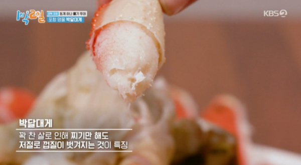 ▲박달대게(사진=KBS2 '1박 2일 시즌4' 방송화면 캡처)