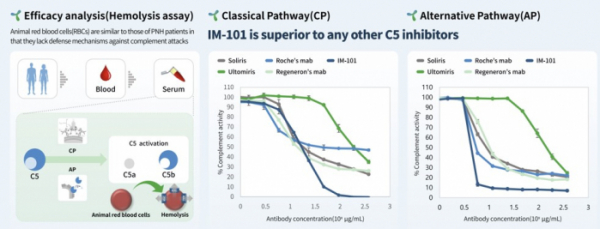 ▲IM-101의 C5활성 억제효능(이뮨앱스)
