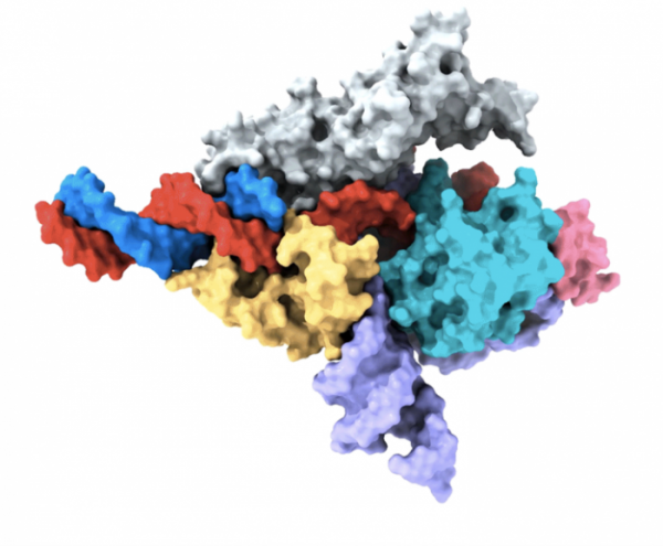 ▲저온전자현미경(Cryo-EM)으로 확인한 팬저 단백질 구조(출처: MIT News)