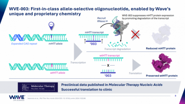 ▲WVE-003의 mHTT 선택적 발현저해 기전(출처=웨이브의 투자자 발표자료)