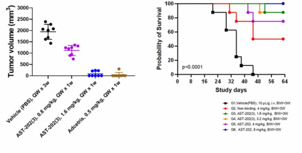 ▲AST-202 동물모델(in vivo) 유효성 평가결과
