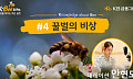 KB금융, 세계 벌의 날 맞아 ‘꿀벌의 비상’ 영상 공개