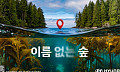 현대차, 바다숲 지키는 ‘이름 없는 숲’ 캠페인 전개