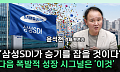 “삼성SDI, 하반기 본업 살아난다”⋯ESSㆍAI 수요가 견인 [찐코노미]