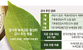 [단독] 감사원, 5대 정책금융기관 녹색금융 실태 점검…790조 기후금융 검증 본격화