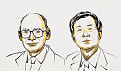 노벨화학상, ‘거울상 이성질체’ 규명 2人 수상