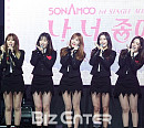 [BZ포토] 늘 푸른 '소나무'입니다