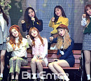[BZ포토] 소나무, 널 콕 찍었어